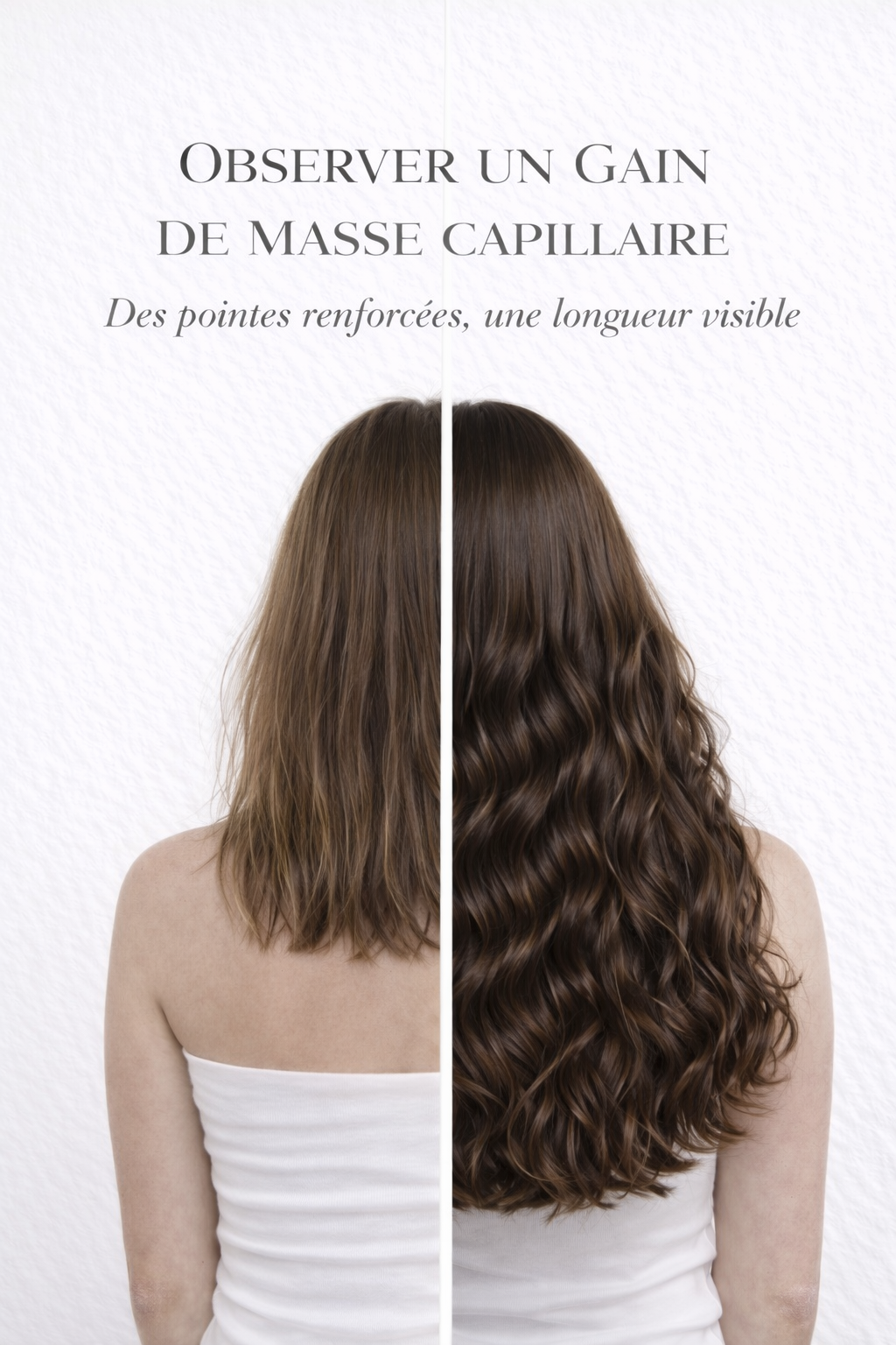 Le rituel ayurvédique - Poudre capillaire - force & densité